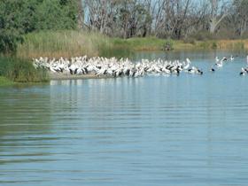 Kelso QLD Kempsey Accommodation