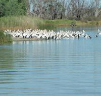 Lake Ross - Kempsey Accommodation