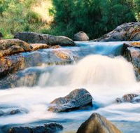 Crows Nest Falls - Kempsey Accommodation