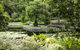 Brisbane Botanic Gardens Mount Coot-tha - thumb 1