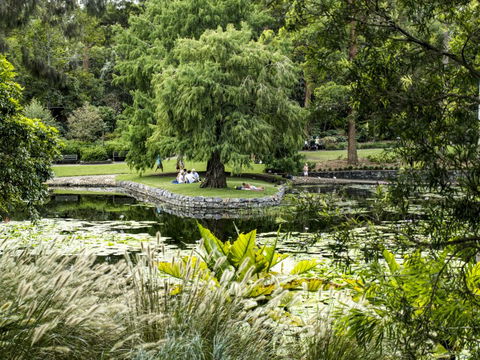Brisbane Botanic Gardens Mount Coot-tha - Kempsey Accommodation 1