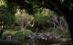 Brisbane Botanic Gardens Mount Coot-tha - thumb 2