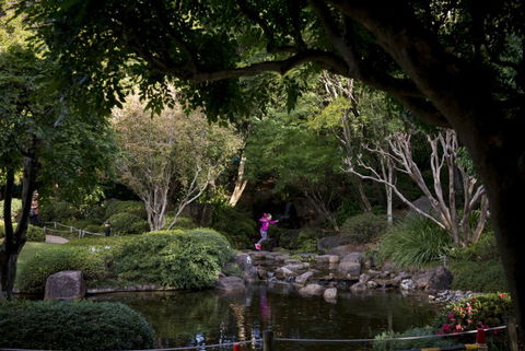 Brisbane Botanic Gardens Mount Coot-tha - Kempsey Accommodation 2