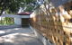 Brisbane Botanic Gardens Mount Coot-tha - thumb 3
