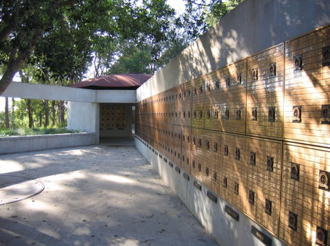 Brisbane Botanic Gardens Mount Coot-tha - Kempsey Accommodation 3