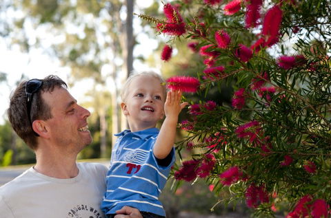 Brisbane Botanic Gardens Mount Coot-tha - Kempsey Accommodation 4