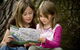 Brisbane Botanic Gardens Mount Coot-tha - thumb 6