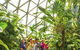 Brisbane Botanic Gardens Mount Coot-tha - thumb 10