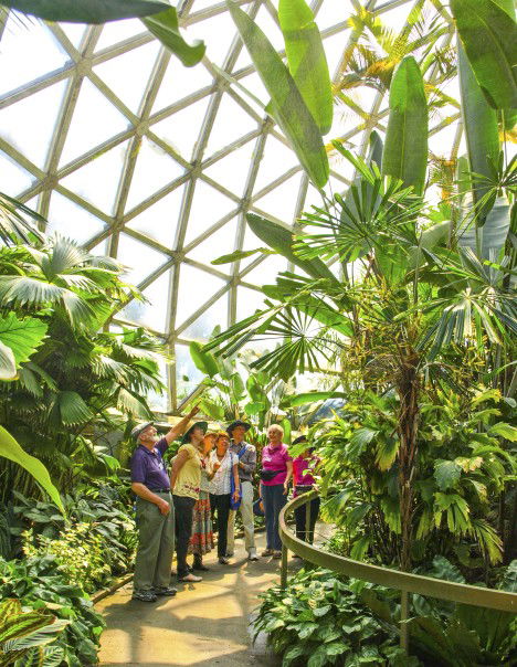 Brisbane Botanic Gardens Mount Coot-tha - Kempsey Accommodation 10