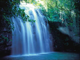 Zillie Falls - Kempsey Accommodation 0