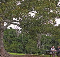 Ravensbourne National Park - Kempsey Accommodation