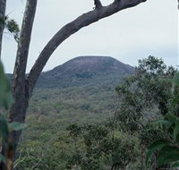 Mount Fox - Kempsey Accommodation
