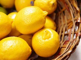 Cotters Markets - Kempsey Accommodation 0