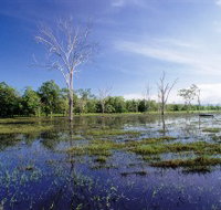 Tyto Wetlands - Kempsey Accommodation