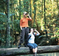 Birdwatching on the Fraser Coast - Kempsey Accommodation