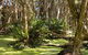 Arkarra Lagoons And Tea Gardens - thumb 0