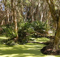 Arkarra Lagoons and Tea Gardens - Kempsey Accommodation