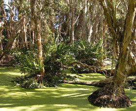 Arkarra Lagoons And Tea Gardens - Kempsey Accommodation 0