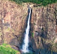 Buujan Quiinbiira Walk Wet Tropics Great Walk - Kempsey Accommodation