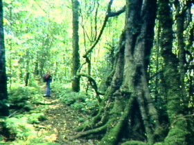 Aratula QLD Kempsey Accommodation