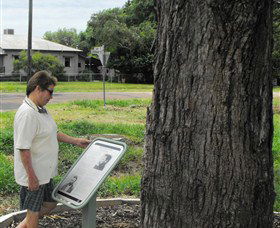 Augathella Kenniff Tree - Kempsey Accommodation 0