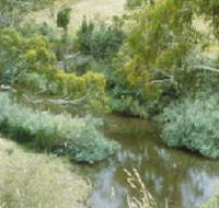 Yarrambat Park - Kempsey Accommodation