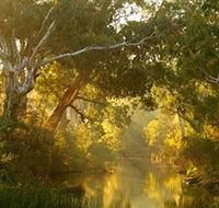 Brimbank Park - Kempsey Accommodation