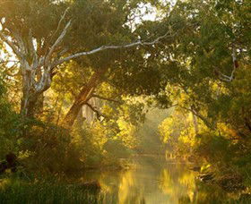 Brimbank Park - Kempsey Accommodation 0
