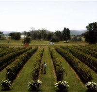 Rochford Wines - Kempsey Accommodation