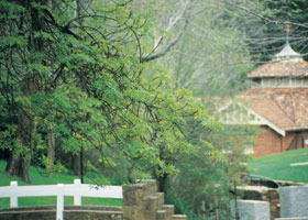 Hepburn Regional Park - Kempsey Accommodation 0