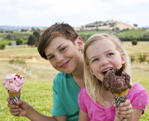 Yarra Valley Chocolaterie & Ice Creamery - Kempsey Accommodation 6