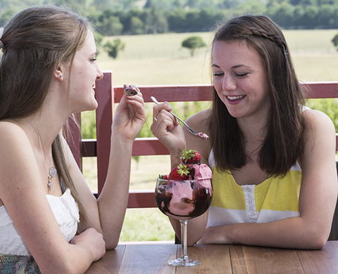 Yarra Valley Chocolaterie & Ice Creamery - Kempsey Accommodation 8