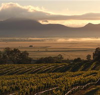 Montara Wines - Kempsey Accommodation