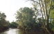 Banksia Park - thumb 0