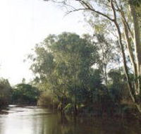 Banksia Park - Kempsey Accommodation