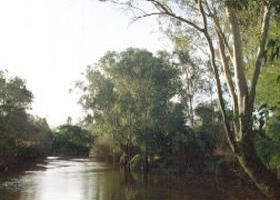 Banksia Park - Kempsey Accommodation 0