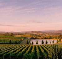 Oakridge Wines - Kempsey Accommodation