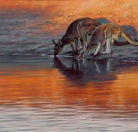 Steve Morvell Wildlife Art - Kempsey Accommodation