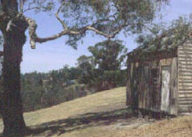 Hawkstowe Picnic Area - Kempsey Accommodation 0