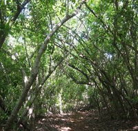 Eucalypt Trail - Kempsey Accommodation