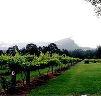 Cambewarra Estate Wines - Kempsey Accommodation