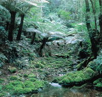 Deua National Park - Kempsey Accommodation