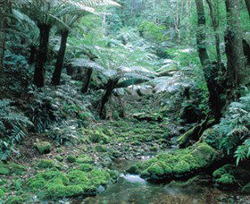 Deua National Park - Kempsey Accommodation 0