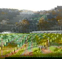 Tilba Valley Wines - Kempsey Accommodation