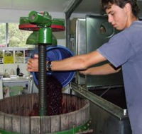 Fern Gully Winery - Kempsey Accommodation