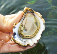 The Oyster Pot - Kempsey Accommodation
