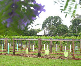 Douglas Vale Historic Homestead & Vineyard - Kempsey Accommodation 0