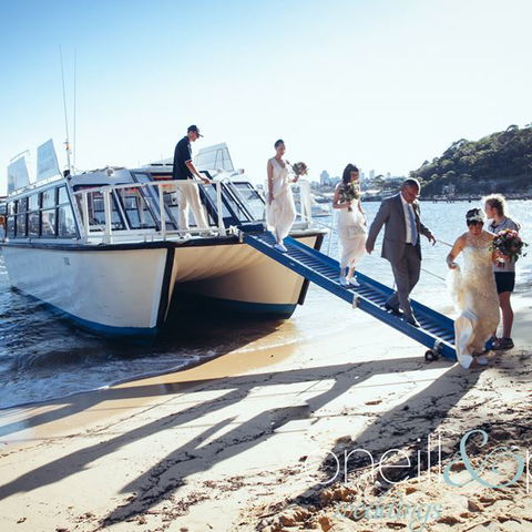 H2O Maxi Taxis - Kempsey Accommodation 3