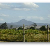 Ironbark Ridge Vineyard - Kempsey Accommodation