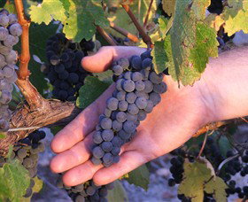 Eagles Rise Wine - Kempsey Accommodation 0